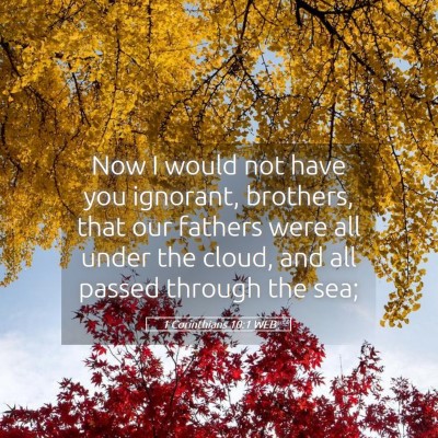 Picture 05 - 1 Corinthians 10:1 WEB - Now I would not have you ignorant, brothers, that - Bible Verse Picture