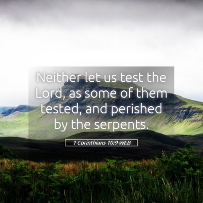 Picture 05 - 1 Corinthians 10:9 WEB - Neither let us test the Lord, as some of them - Bible Verse Picture