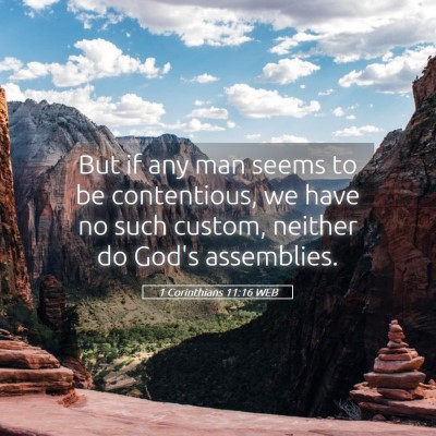 Picture 05 - 1 Corinthians 11:16 WEB - But if any man seems to be contentious, we have - Bible Verse Picture