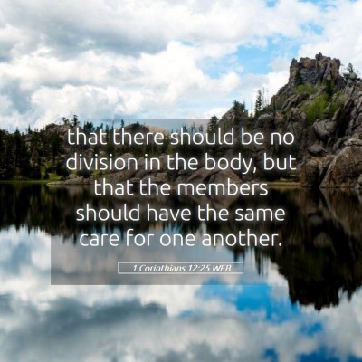 Picture 05 - 1 Corinthians 12:25 WEB - that there should be no division in the body, but - Bible Verse Picture