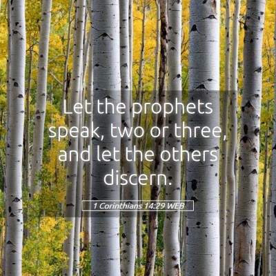 Picture 05 - 1 Corinthians 14:29 WEB - Let the prophets speak, two or three, and let the - Bible Verse Picture