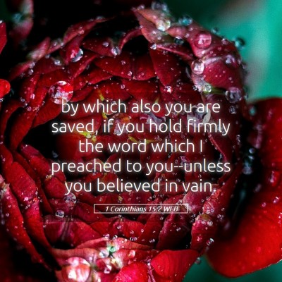 Picture 05 - 1 Corinthians 15:2 WEB - by which also you are saved, if you hold firmly - Bible Verse Picture