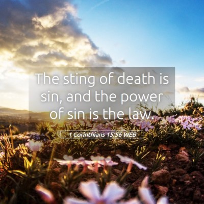 Picture 05 - 1 Corinthians 15:56 WEB - The sting of death is sin, and the power of sin - Bible Verse Picture