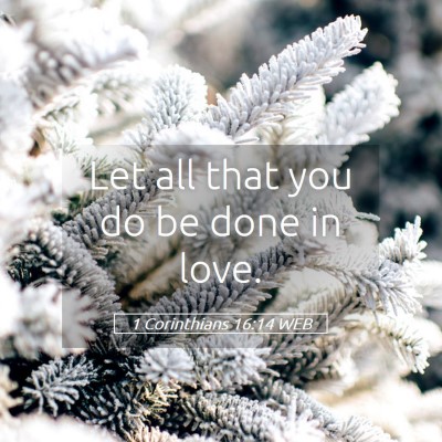 Picture 05 - 1 Corinthians 16:14 WEB - Let all that you do be done in - Bible Verse Picture