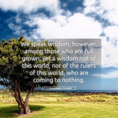 Picture 05 - 1 Corinthians 2:6 WEB - We speak wisdom, however, among those who are - Bible Verse Picture