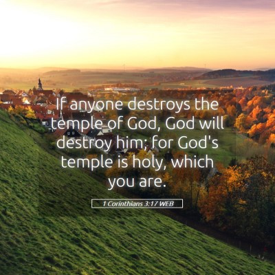 Picture 05 - 1 Corinthians 3:17 WEB - If anyone destroys the temple of God, God will - Bible Verse Picture