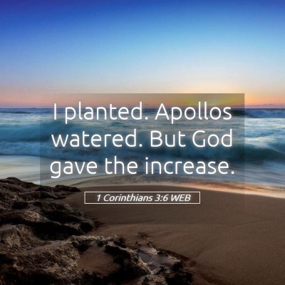 Picture 05 - 1 Corinthians 3:6 WEB - I planted. Apollos watered. But God gave the - Bible Verse Picture