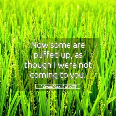 Picture 05 - 1 Corinthians 4:18 WEB - Now some are puffed up, as though I were not - Bible Verse Picture