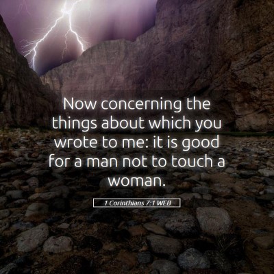 Picture 05 - 1 Corinthians 7:1 WEB - Now concerning the things about which you wrote - Bible Verse Picture