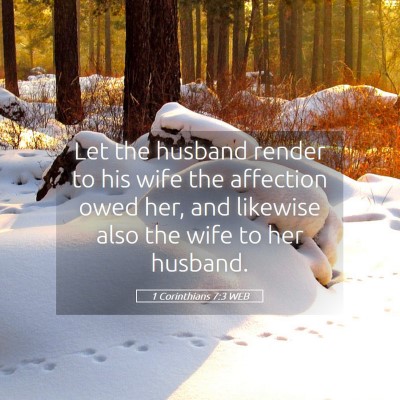 Picture 05 - 1 Corinthians 7:3 WEB - Let the husband render to his wife the affection - Bible Verse Picture