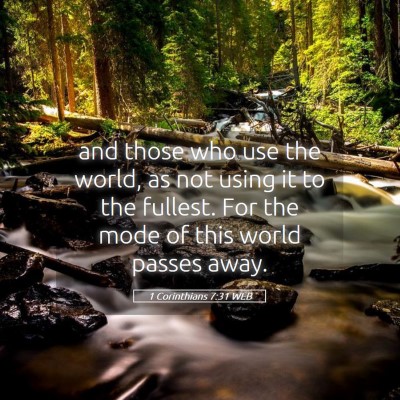 Picture 05 - 1 Corinthians 7:31 WEB - and those who use the world, as not using it to - Bible Verse Picture