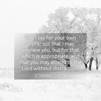 Picture 05 - 1 Corinthians 7:35 WEB - This I say for your own profit; not that I may - Bible Verse Picture