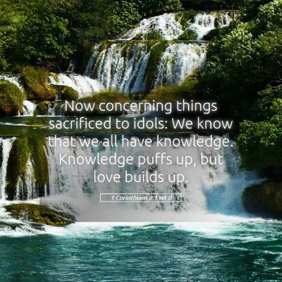Picture 05 - 1 Corinthians 8:1 WEB - Now concerning things sacrificed to idols: We - Bible Verse Picture