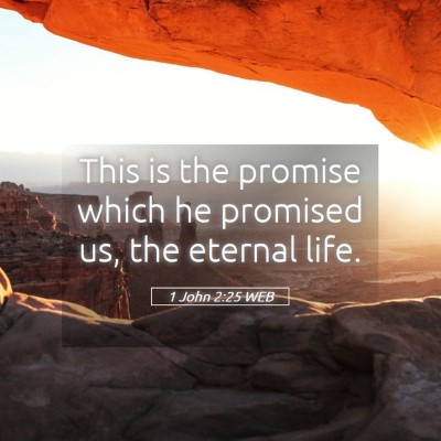 Picture 05 - 1 John 2:25 WEB - This is the promise which he promised us, the - Bible Verse Picture