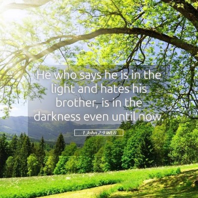 Picture 05 - 1 John 2:9 WEB - He who says he is in the light and hates his - Bible Verse Picture