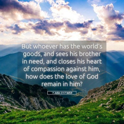 Picture 05 - 1 John 3:17 WEB - But whoever has the world's goods, and sees his - Bible Verse Picture