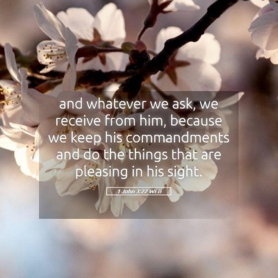 Picture 05 - 1 John 3:22 WEB - and whatever we ask, we receive from him, because - Bible Verse Picture