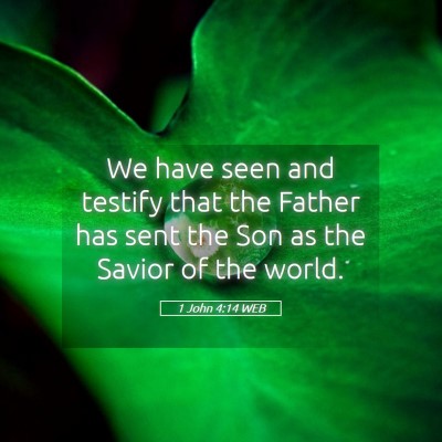 Picture 05 - 1 John 4:14 WEB - We have seen and testify that the Father has sent - Bible Verse Picture
