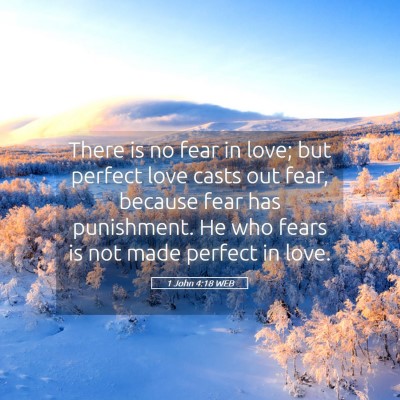 Picture 05 - 1 John 4:18 WEB - There is no fear in love; but perfect love casts - Bible Verse Picture