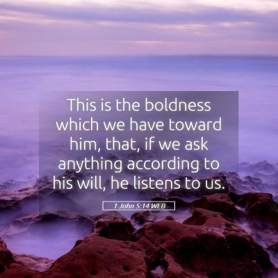 Picture 05 - 1 John 5:14 WEB - This is the boldness which we have toward him, - Bible Verse Picture