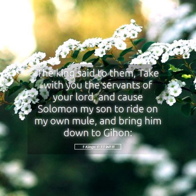 Picture 05 - 1 Kings 1:33 WEB - The king said to them, Take with you the servants - Bible Verse Picture