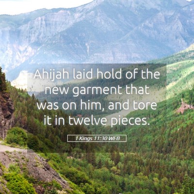 Picture 05 - 1 Kings 11:30 WEB - Ahijah laid hold of the new garment that was on - Bible Verse Picture