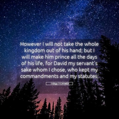 Picture 05 - 1 Kings 11:34 WEB - However I will not take the whole kingdom out of - Bible Verse Picture