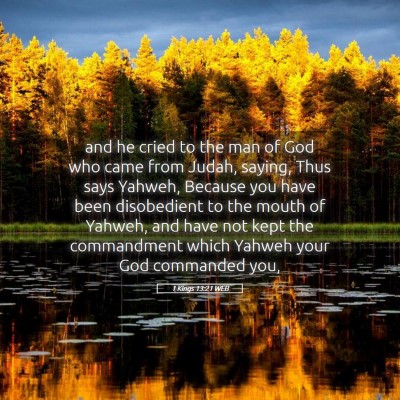 Picture 05 - 1 Kings 13:21 WEB - and he cried to the man of God who came from - Bible Verse Picture