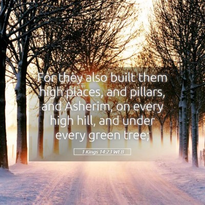 Picture 05 - 1 Kings 14:23 WEB - For they also built them high places, and - Bible Verse Picture