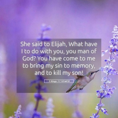 Picture 05 - 1 Kings 17:18 WEB - She said to Elijah, What have I to do with you, - Bible Verse Picture