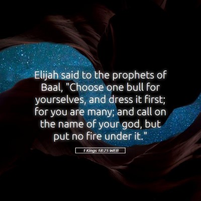 Picture 05 - 1 Kings 18:25 WEB - Elijah said to the prophets of Baal, 