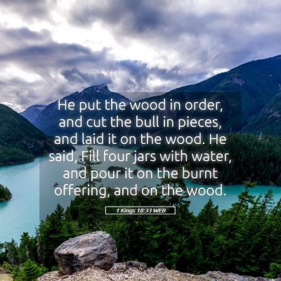 Picture 05 - 1 Kings 18:33 WEB - He put the wood in order, and cut the bull in - Bible Verse Picture