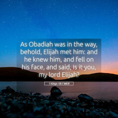 Picture 05 - 1 Kings 18:7 WEB - As Obadiah was in the way, behold, Elijah met - Bible Verse Picture