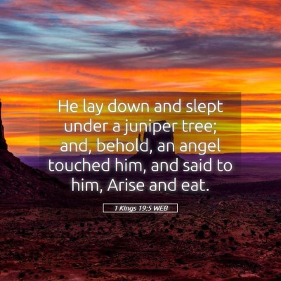 Picture 05 - 1 Kings 19:5 WEB - He lay down and slept under a juniper tree; and, - Bible Verse Picture
