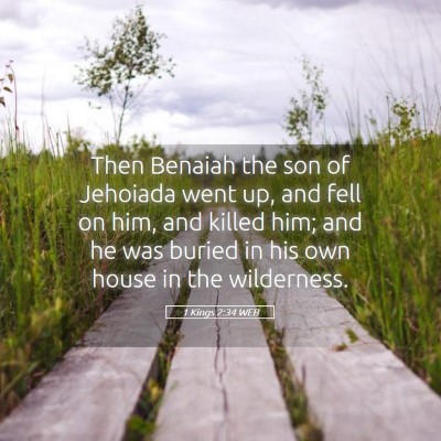 Picture 05 - 1 Kings 2:34 WEB - Then Benaiah the son of Jehoiada went up, and - Bible Verse Picture