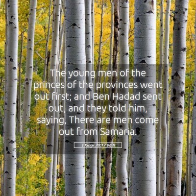 Picture 05 - 1 Kings 20:17 WEB - The young men of the princes of the provinces - Bible Verse Picture