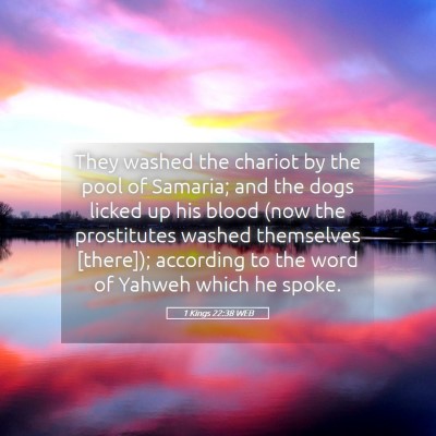 Picture 05 - 1 Kings 22:38 WEB - They washed the chariot by the pool of Samaria; - Bible Verse Picture