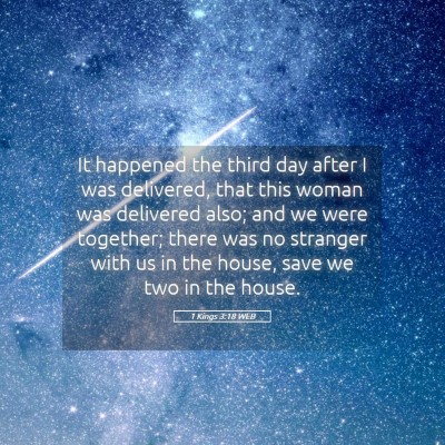 Picture 05 - 1 Kings 3:18 WEB - It happened the third day after I was delivered, - Bible Verse Picture