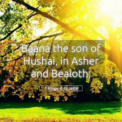 Picture 05 - 1 Kings 4:16 WEB - Baana the son of Hushai, in Asher and - Bible Verse Picture