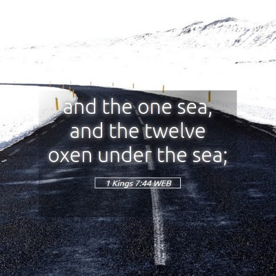 Picture 05 - 1 Kings 7:44 WEB - and the one sea, and the twelve oxen under the - Bible Verse Picture
