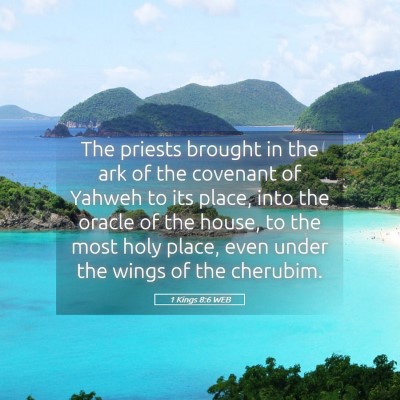 Picture 05 - 1 Kings 8:6 WEB - The priests brought in the ark of the covenant of - Bible Verse Picture