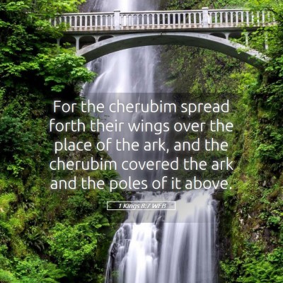 Picture 05 - 1 Kings 8:7 WEB - For the cherubim spread forth their wings over - Bible Verse Picture