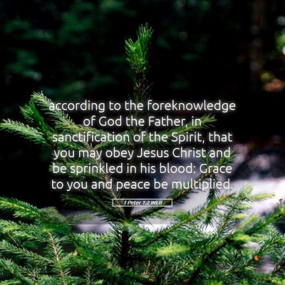 Picture 05 - 1 Peter 1:2 WEB - according to the foreknowledge of God the Father, - Bible Verse Picture