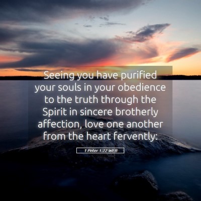 Picture 05 - 1 Peter 1:22 WEB - Seeing you have purified your souls in your - Bible Verse Picture