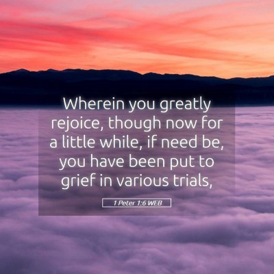 Picture 05 - 1 Peter 1:6 WEB - Wherein you greatly rejoice, though now for a - Bible Verse Picture