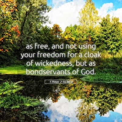 Picture 05 - 1 Peter 2:16 WEB - as free, and not using your freedom for a cloak - Bible Verse Picture