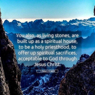 Picture 05 - 1 Peter 2:5 WEB - You also, as living stones, are built up as a - Bible Verse Picture