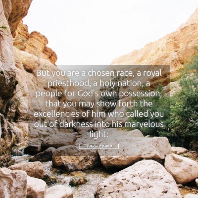 Picture 05 - 1 Peter 2:9 WEB - But you are a chosen race, a royal priesthood, a - Bible Verse Picture