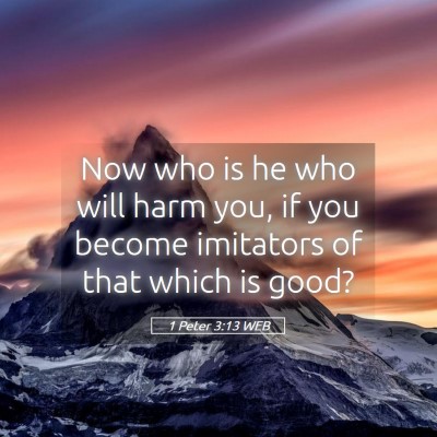 Picture 05 - 1 Peter 3:13 WEB - Now who is he who will harm you, if you become - Bible Verse Picture