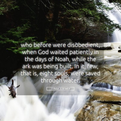 Picture 05 - 1 Peter 3:20 WEB - who before were disobedient, when God waited - Bible Verse Picture
